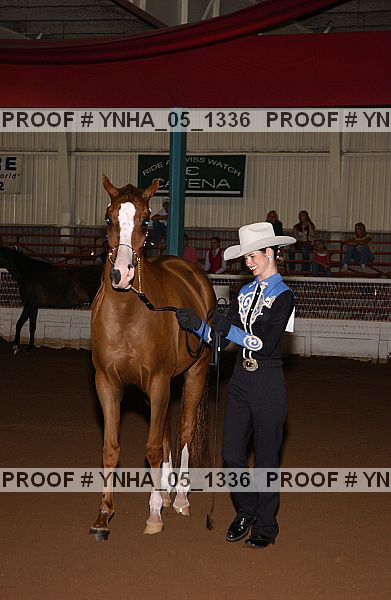 Proof Number ynha_05_1336