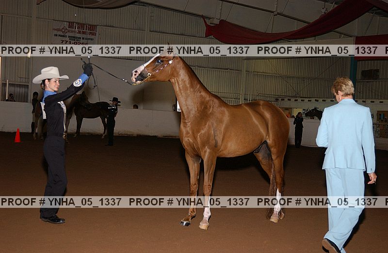Proof Number ynha_05_1337