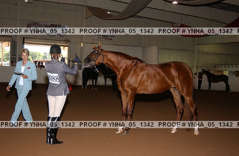 Proof Number ynha_05_1342