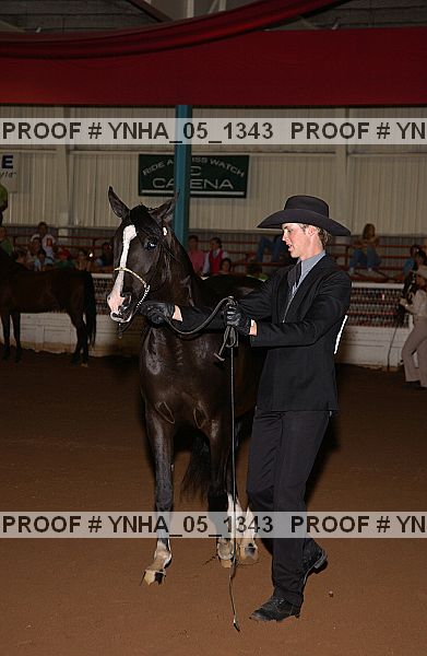 Proof Number ynha_05_1343