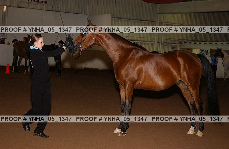Proof Number ynha_05_1347