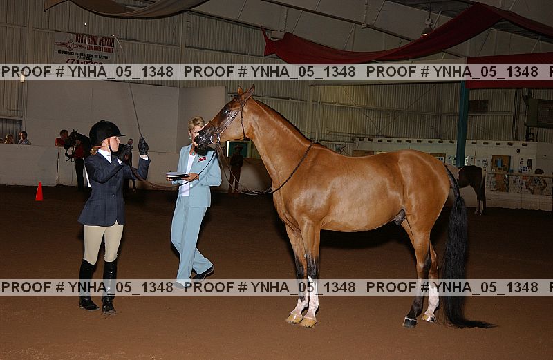 Proof Number ynha_05_1348