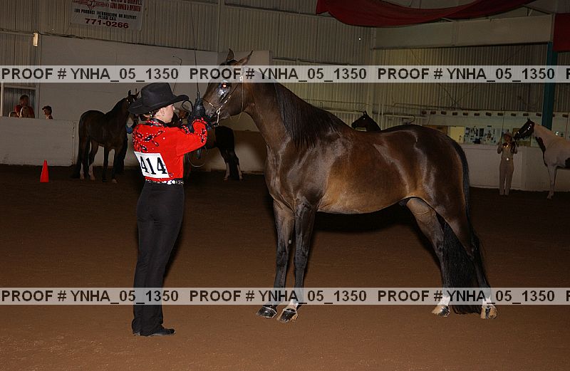 Proof Number ynha_05_1350