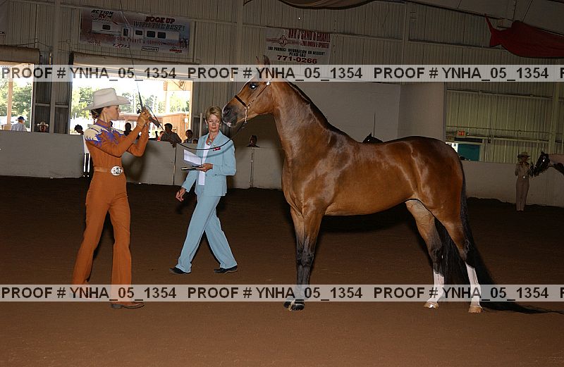 Proof Number ynha_05_1354