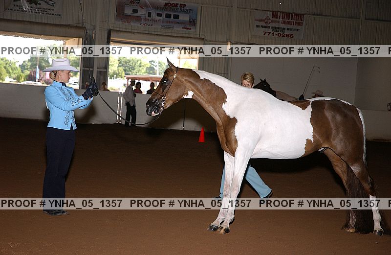 Proof Number ynha_05_1357