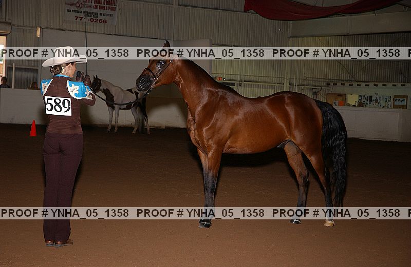 Proof Number ynha_05_1358