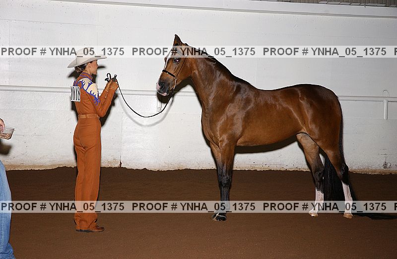 Proof Number ynha_05_1375