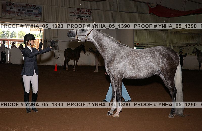 Proof Number ynha_05_1390