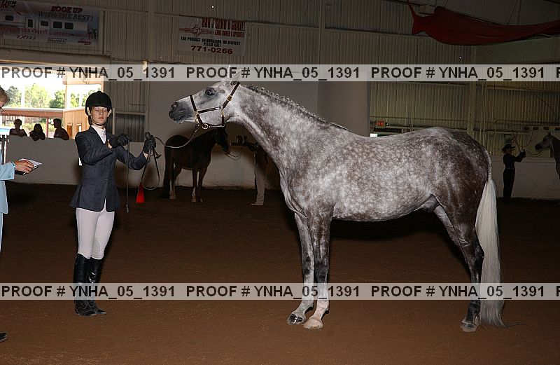 Proof Number ynha_05_1391