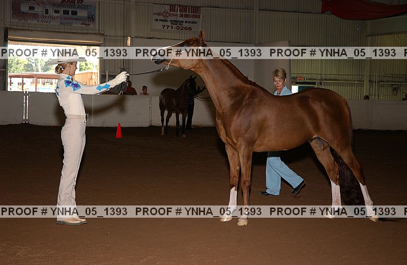 Proof Number ynha_05_1393