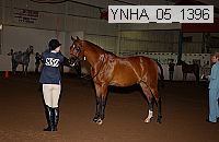 Proof Number ynha_05_1396