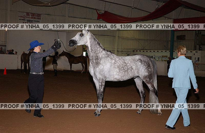 Proof Number ynha_05_1399