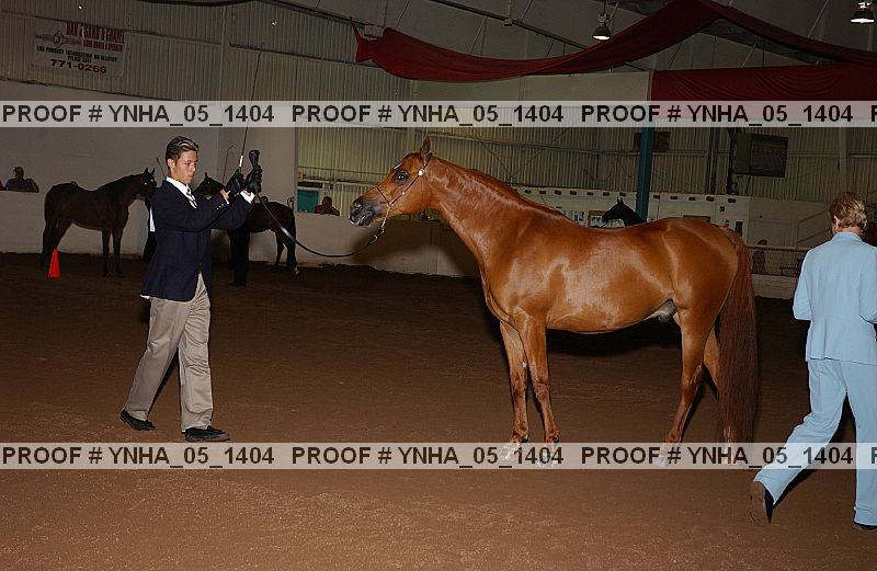 Proof Number ynha_05_1404