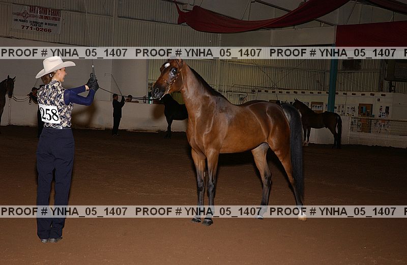 Proof Number ynha_05_1407