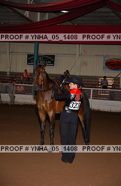 Proof Number ynha_05_1408