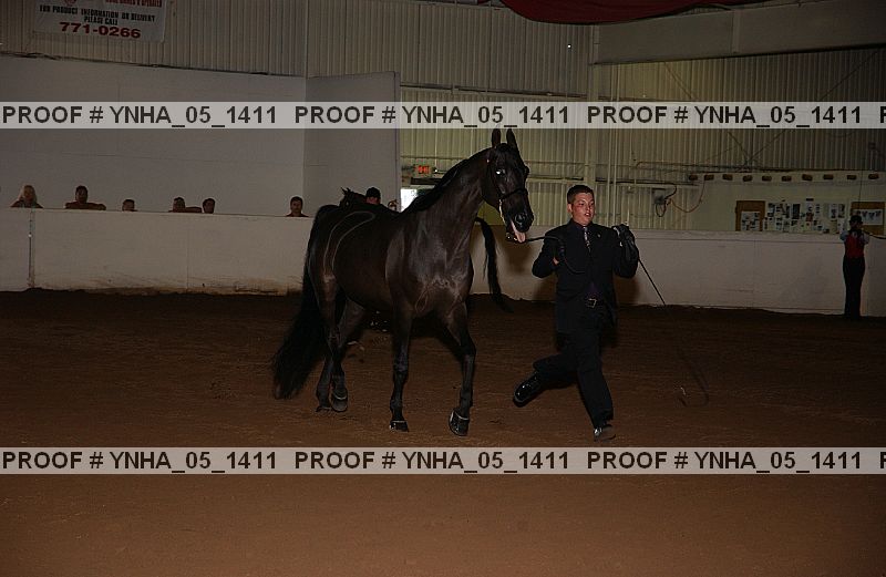 Proof Number ynha_05_1411