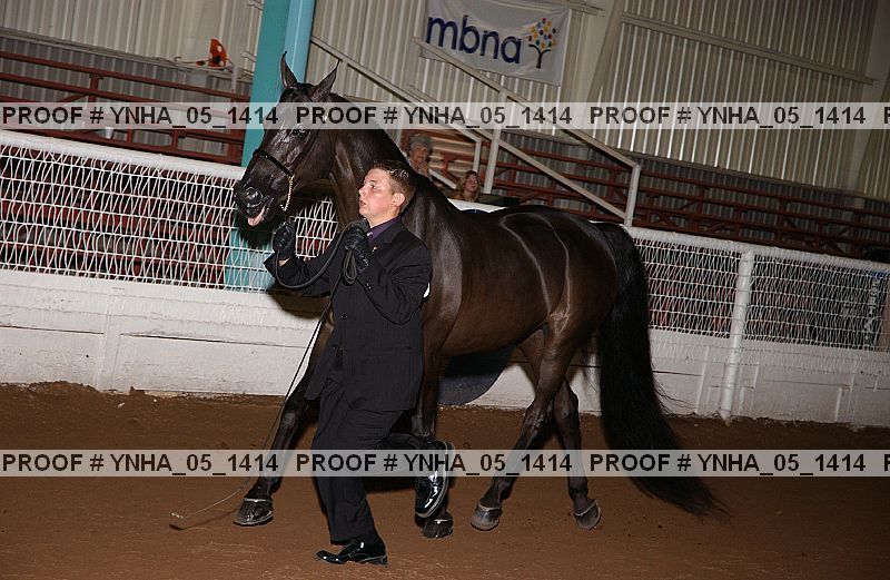 Proof Number ynha_05_1414