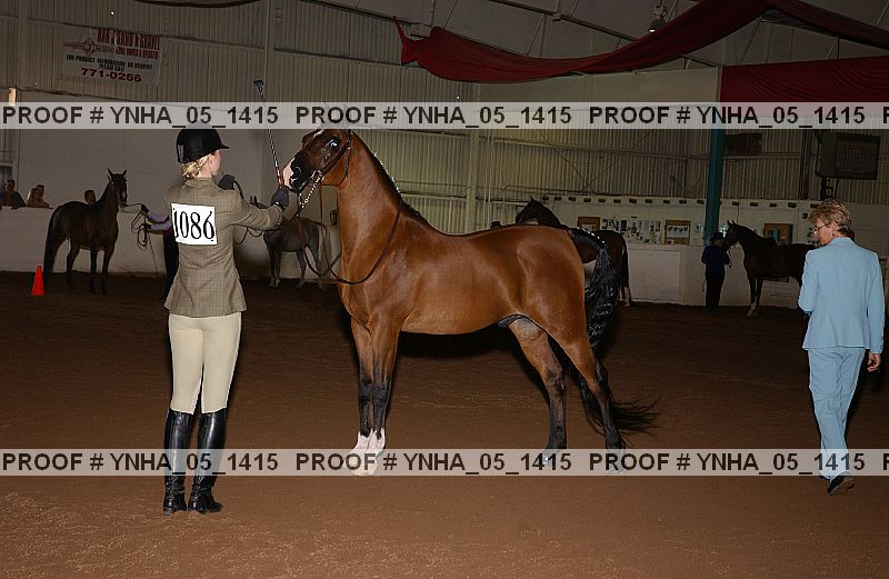 Proof Number ynha_05_1415