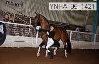 Proof Number ynha_05_1421