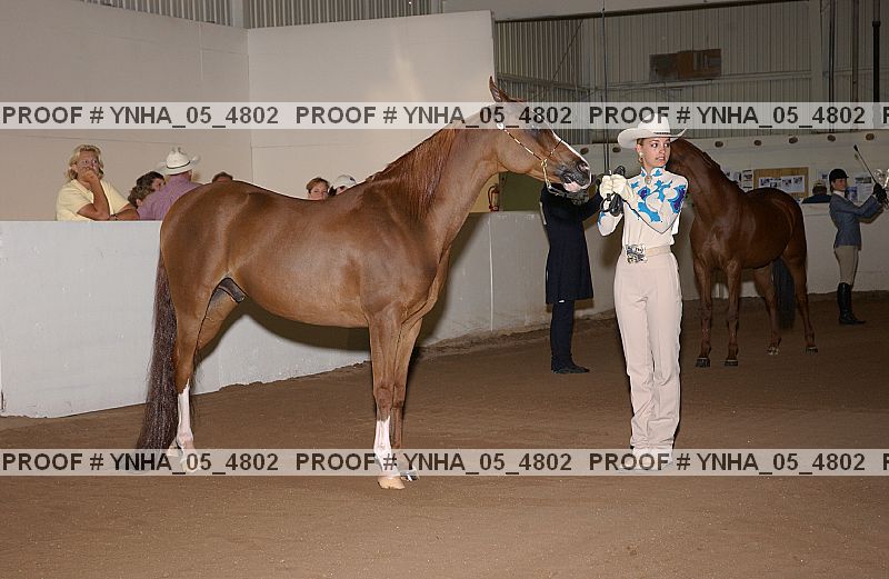 Proof Number ynha_05_4802