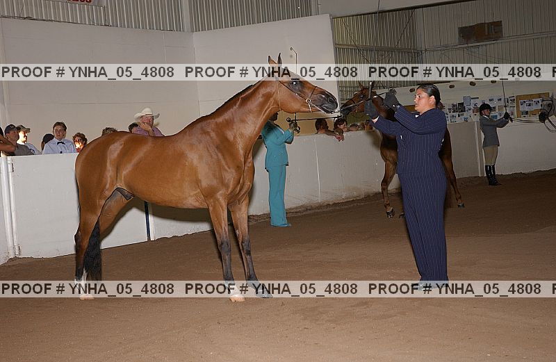 Proof Number ynha_05_4808