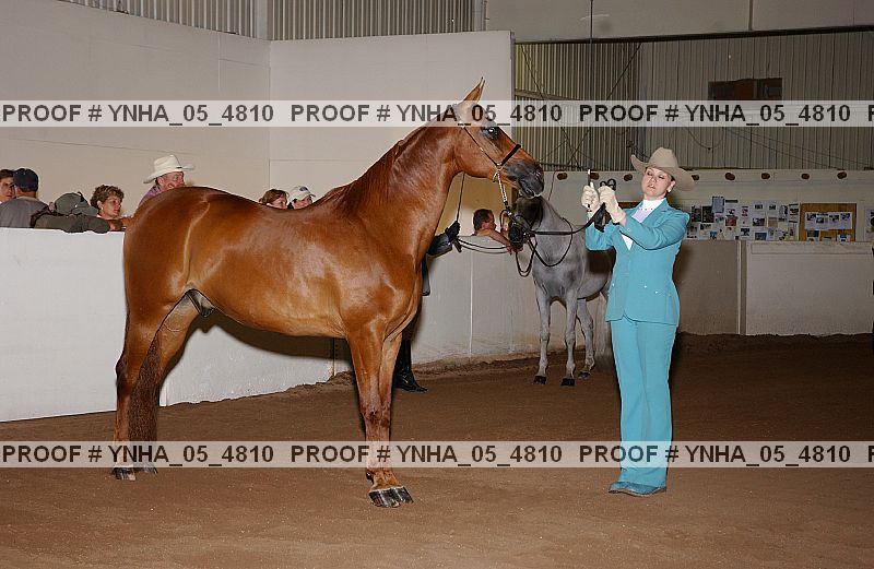 Proof Number ynha_05_4810