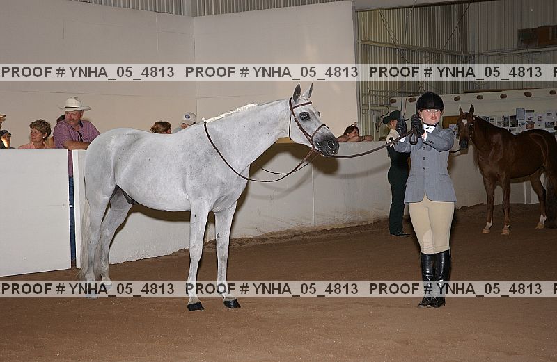 Proof Number ynha_05_4813