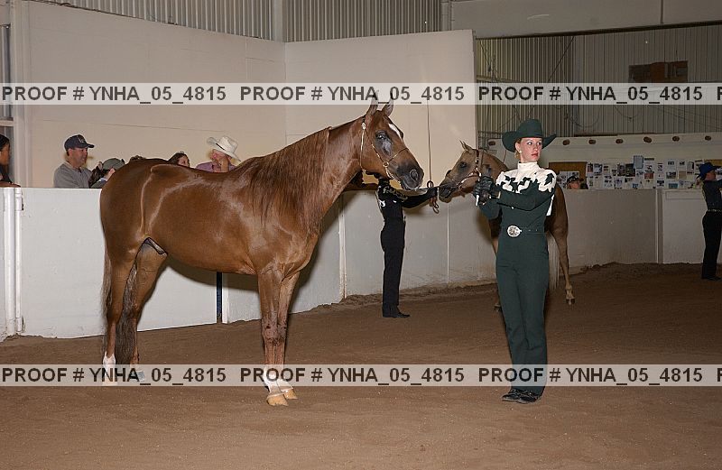 Proof Number ynha_05_4815