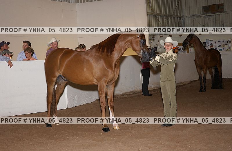 Proof Number ynha_05_4823