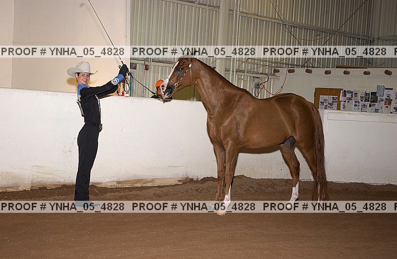 Proof Number ynha_05_4828