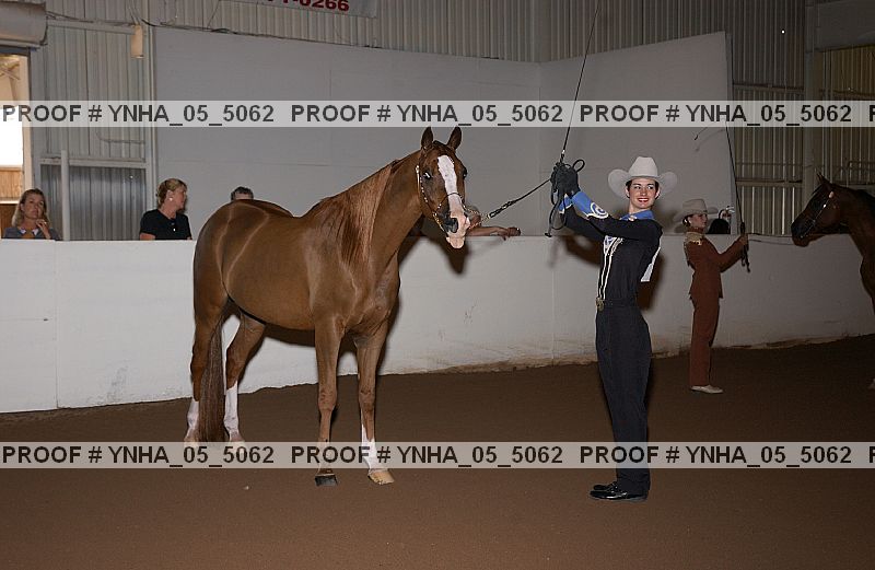 Proof Number ynha_05_5062