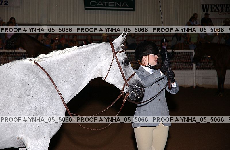 Proof Number ynha_05_5066