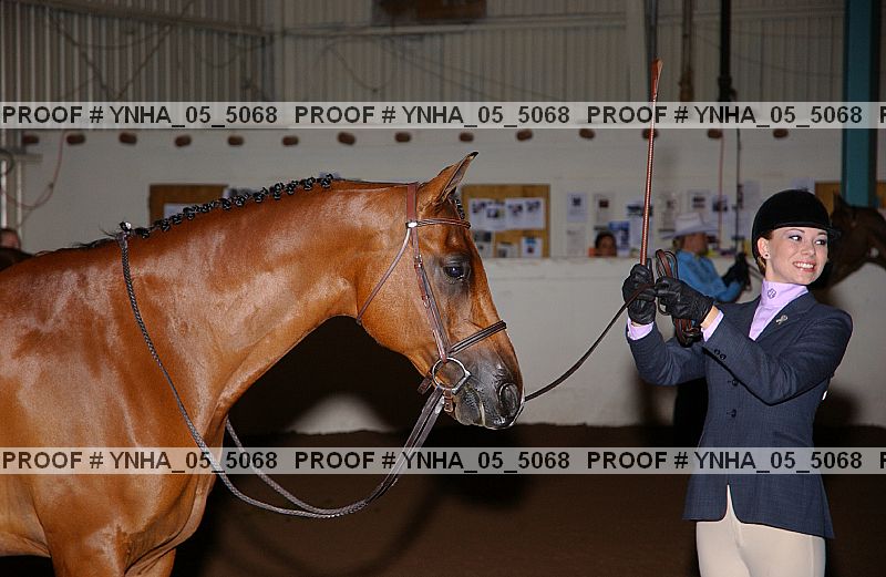 Proof Number ynha_05_5068