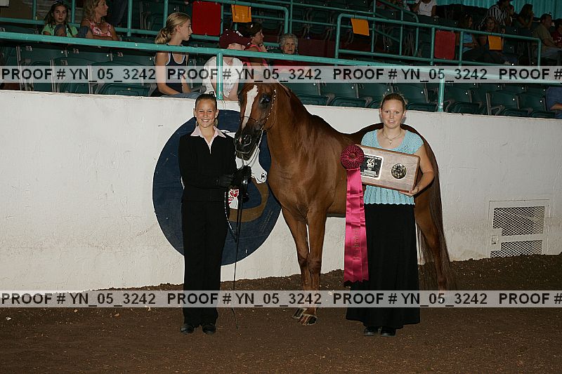 Proof Number yn_05_3242