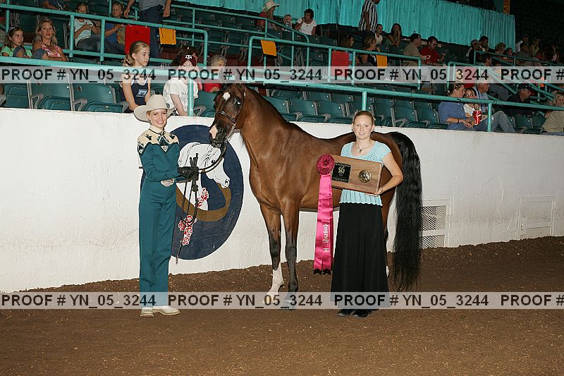 Proof Number yn_05_3244