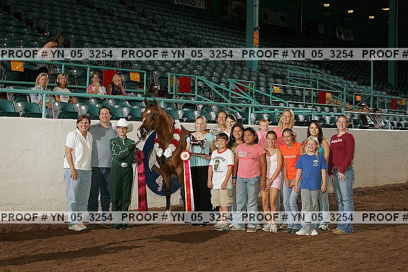 Proof Number yn_05_3254