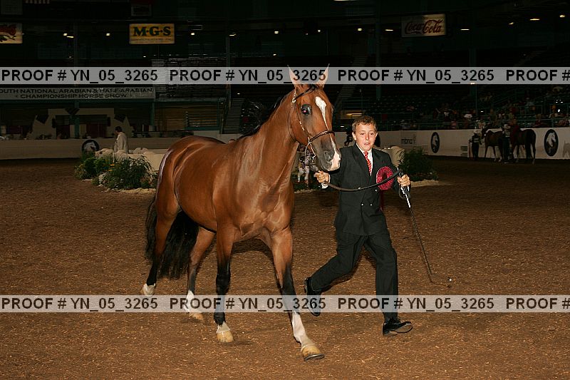 Proof Number yn_05_3265