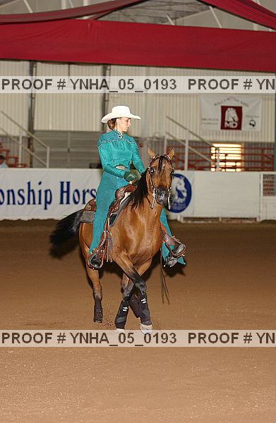 Proof Number ynha_05_0193