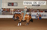 Proof Number ynha_05_0237