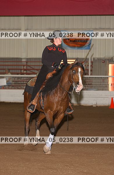 Proof Number ynha_05_0238
