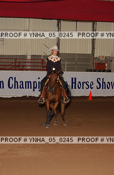 Proof Number ynha_05_0245