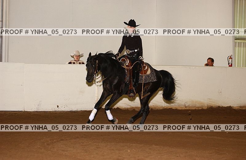 Proof Number ynha_05_0273