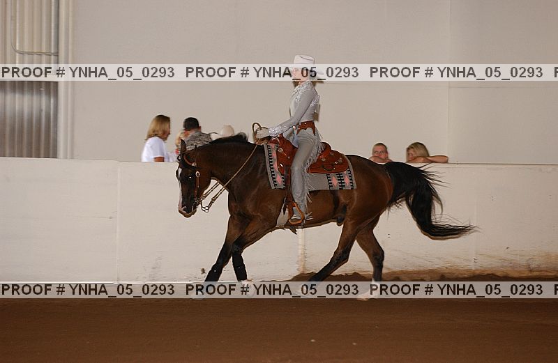 Proof Number ynha_05_0293
