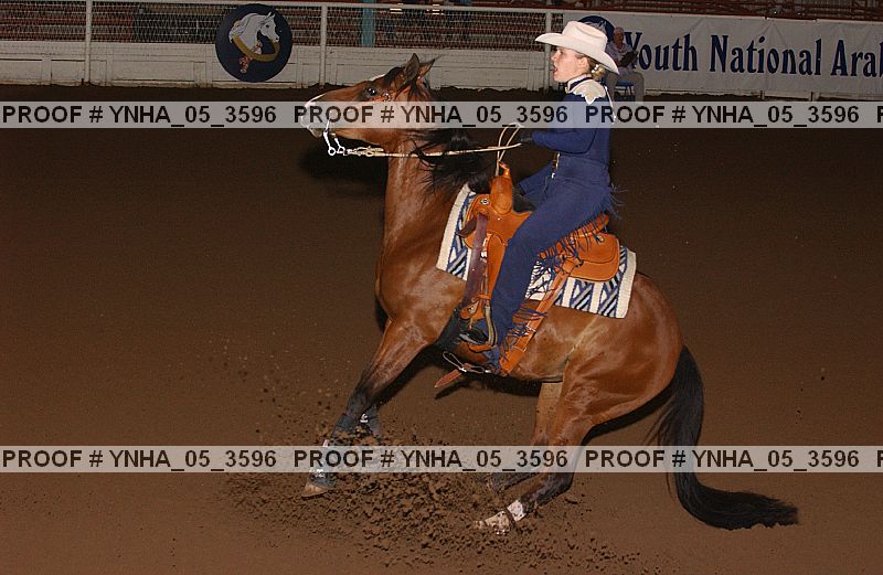 Proof Number ynha_05_3596