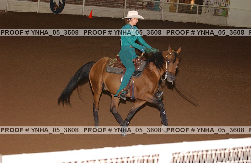 Proof Number ynha_05_3608