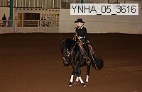 Proof Number ynha_05_3616
