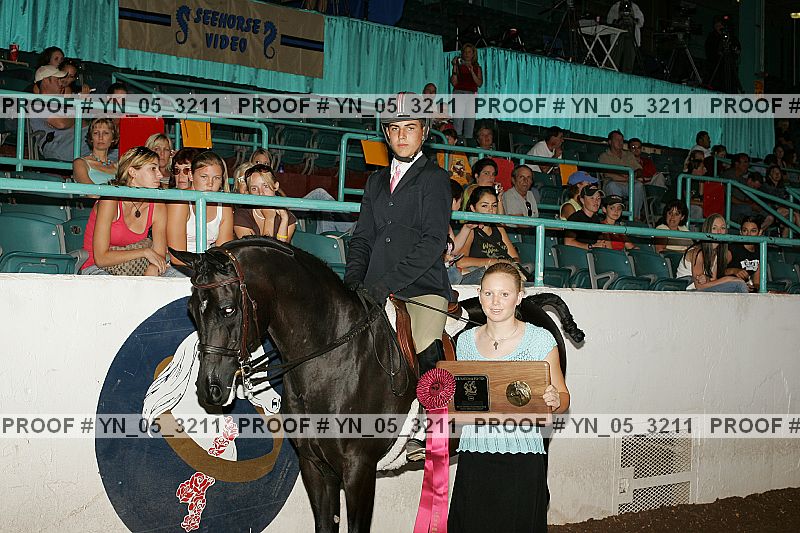 Proof Number yn_05_3211