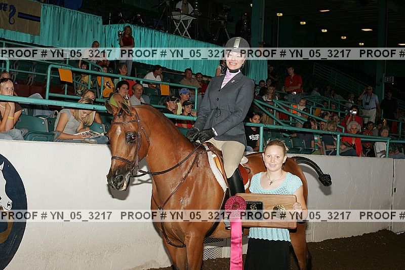 Proof Number yn_05_3217