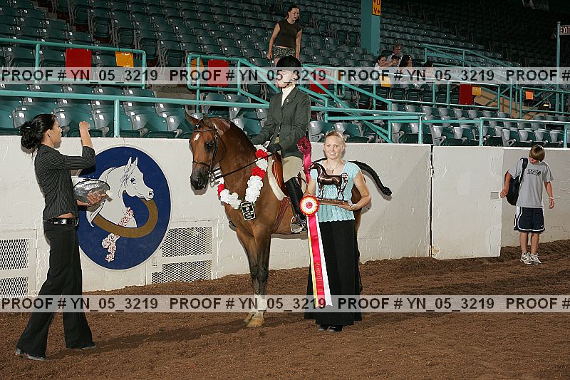 Proof Number yn_05_3219