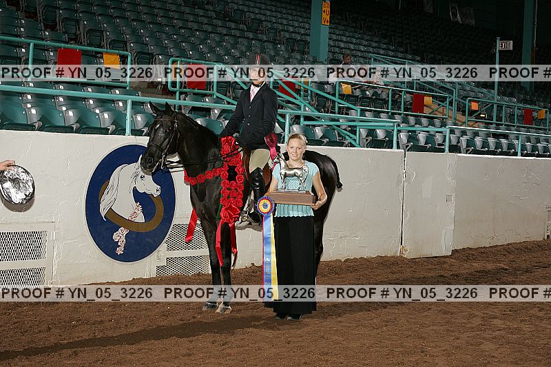 Proof Number yn_05_3226